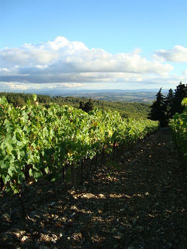 Agriturismo Il Villino Fonterutoli Kültér fotó